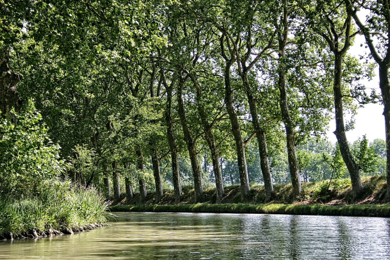Le Canal du Midi, le génie biterrois 